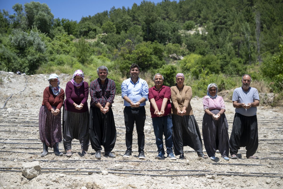 "Leklek Fasülyesi" Mersin Büyükşehir ile Tekrar Doğdu
