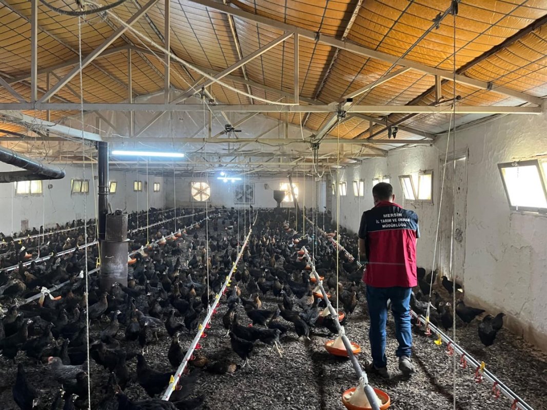 Mersin İl Tarım ve Orman Müdürlüğü Ekipleri Denetimlerine Hız Kesmeden Devam Ediyor