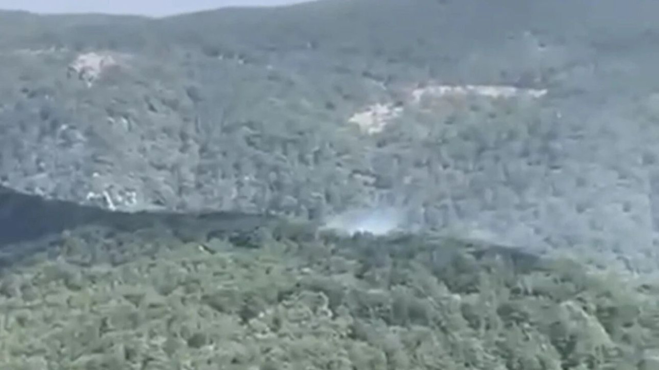 Balıkesir Edremit'te orman yangını! Havadan ve karadan müdahale başlatıldı