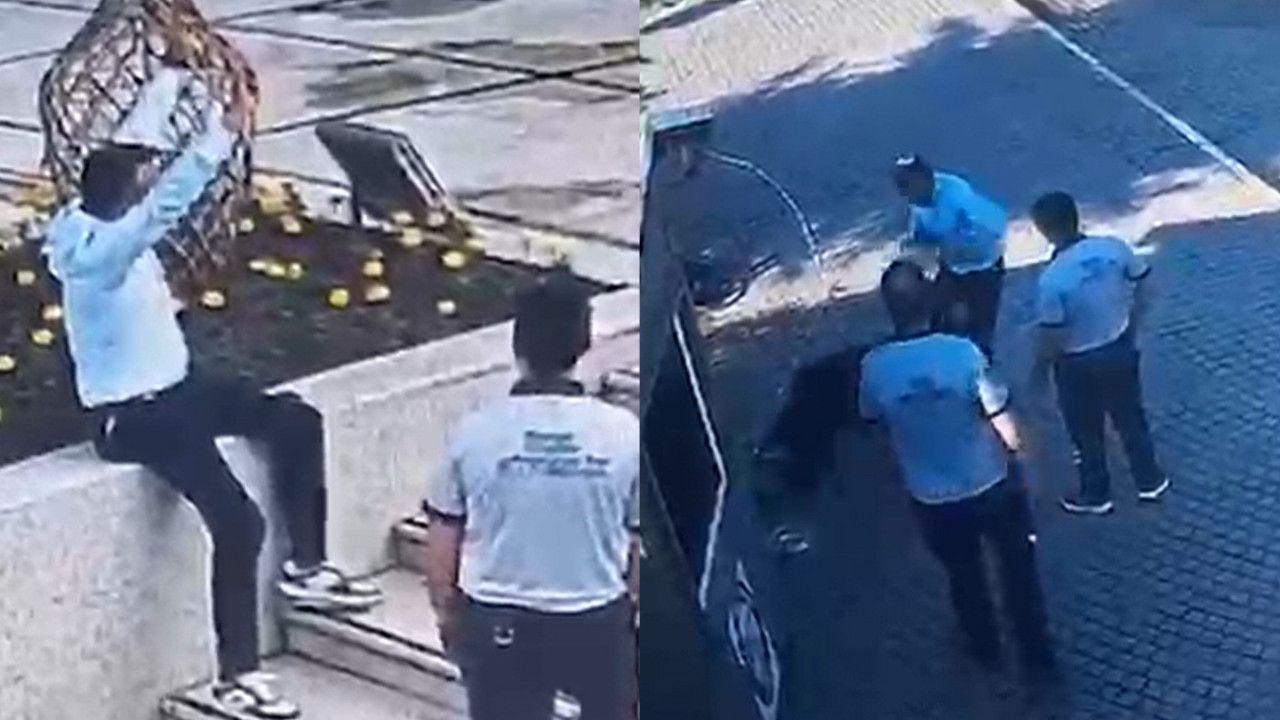Belediye binası önünde akılalmaz olay! Hem köpeğe hem güvenliğe saldırdı