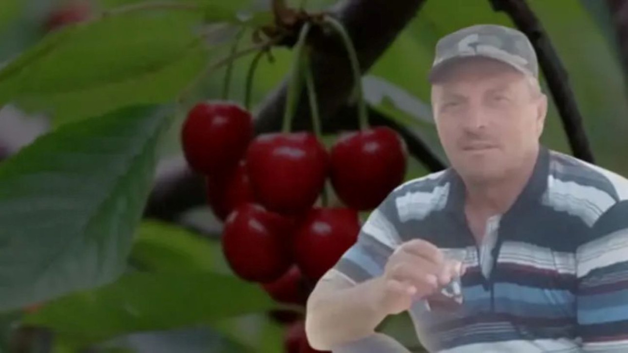 Dalından kopardıkları kiraz sonları oldu! Karı-koca peş peşe öldü