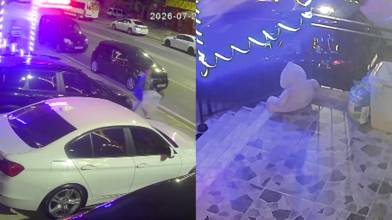 Kocaeli'nde pes dedirten hırsızlık! Petshopun önündeki mama kutusunu çalıp kaçtı