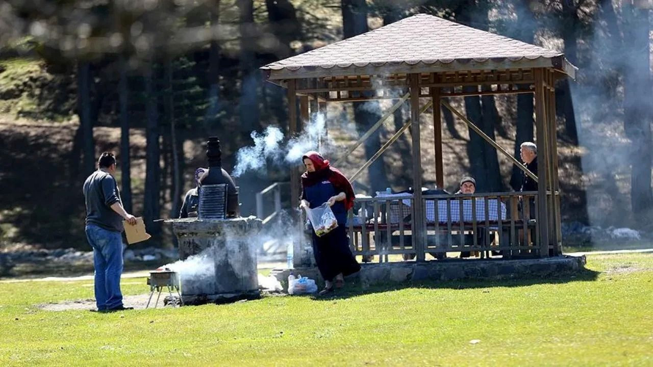 Sultanbeyli'de orman yasağını çiğneyenler dronla yakalandı! Rekor ceza