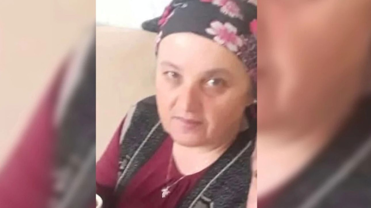 Zonguldak'ta acı ölüm! Fındık bahçesinde eşek arısının soktuğu kadın kurtarılamadı